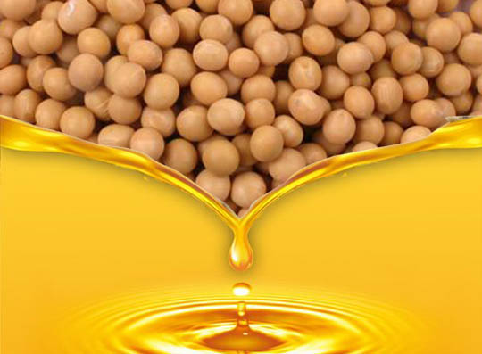 Soybean Oil