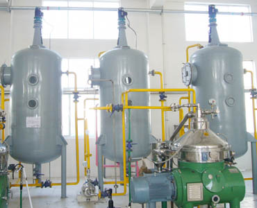 Sunflower oil plant