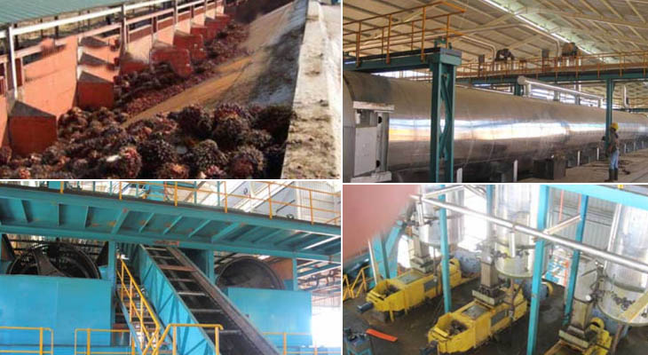 Palm oil processing equipment