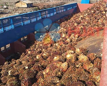 Palm Oil Processing, Palm Oil Processing Plant