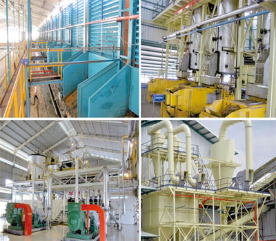What is the difference between palm oil refining and other edible oil refining?