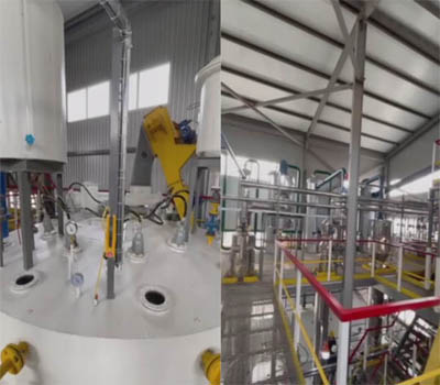 Production methods of sunflower seed oil: pressing and extracting