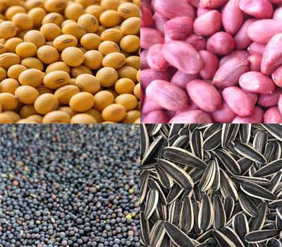 The purpose of oilseeds pre-pressing
