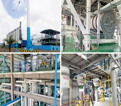 edible oil refining project