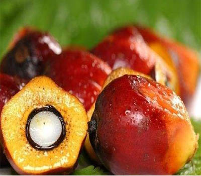 Treatment of palm oil waste products